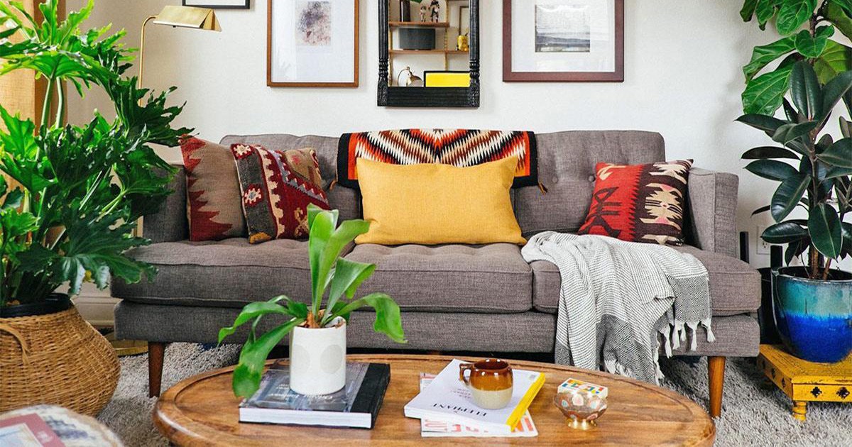 Decor Cây Xanh Trong Nhà Thu Hút Giới Trẻ Vì Điều Gì?